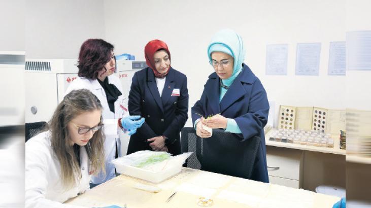 ‘Tohum gen bankaları milli üretimin güvencesi’