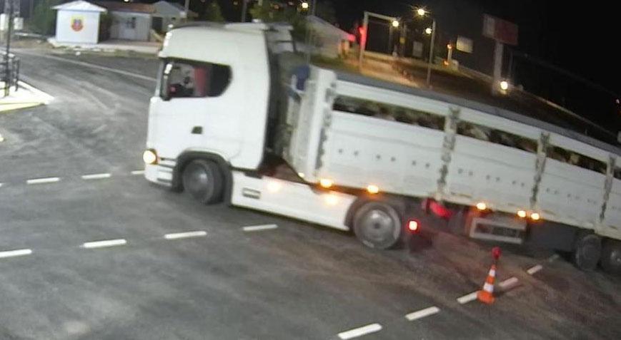 Durdurulan TIR’dan çıkan hayanlar şoke etti! Aracın sahibine ceza yağdı