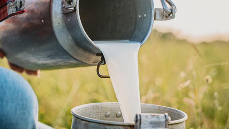 Çiğ süt üretimi azaldı