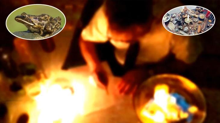Büyü dolandırıcılığı arttı mı? Kurbağa kanı, eşek dili, domuz yağı kullanılıyor