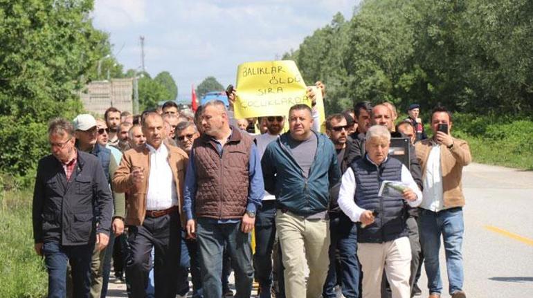 Sakarya'da bir mahalle ayakta: Balıklar öldü, sıra çocuklarda!