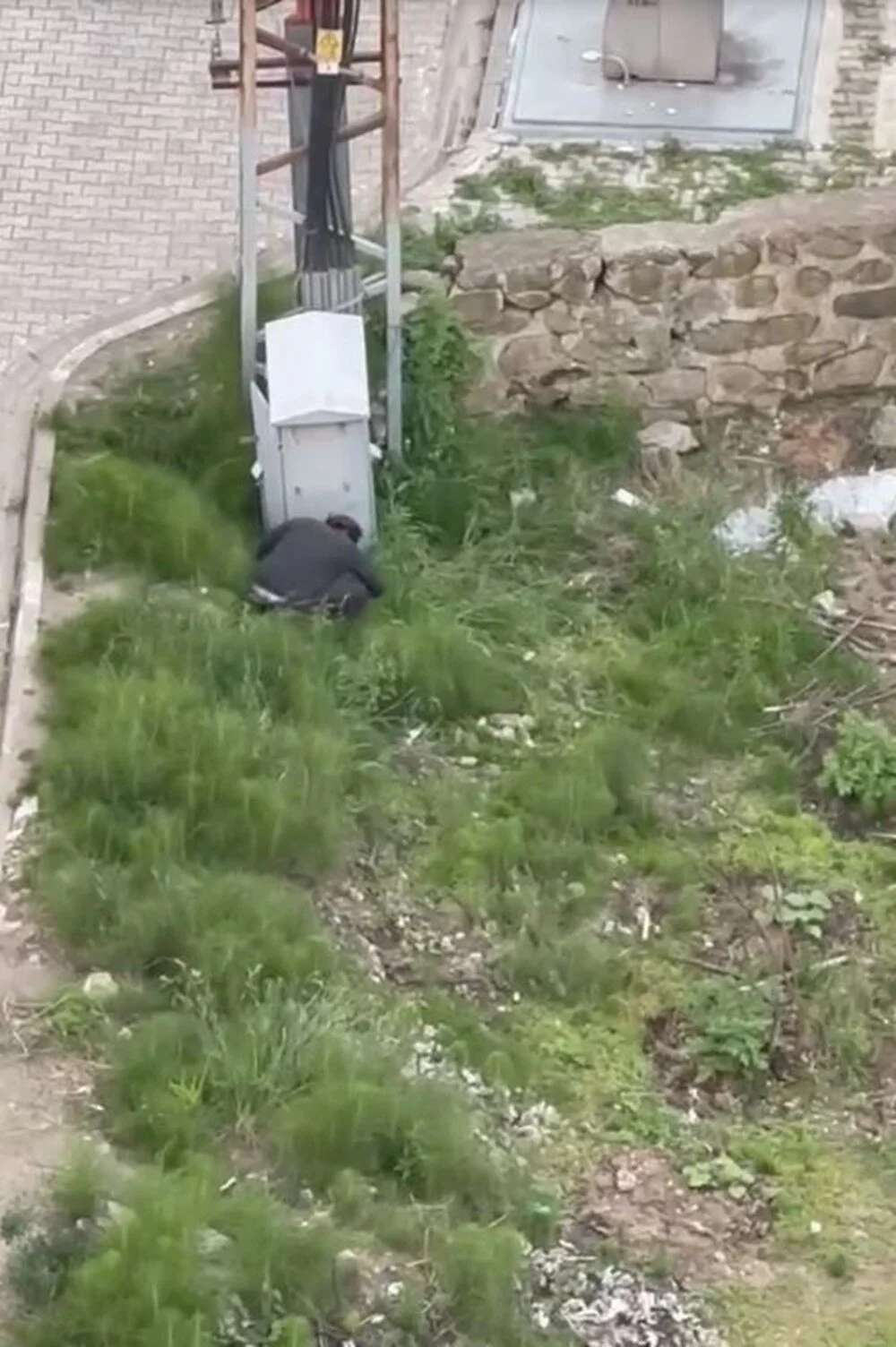 Kediyi ayağıyla ezip vahşice öldürdü