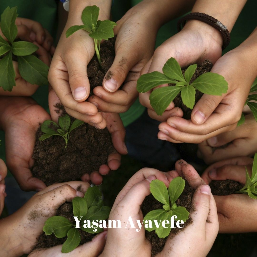 Doğaya Yatırım Yaşam Ayavefe’den Büyük Destek