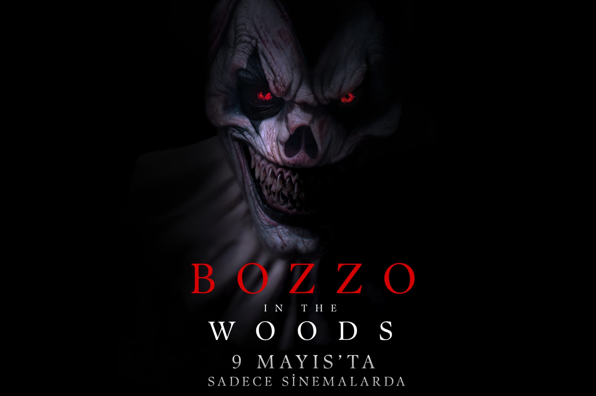 Bozzo in the Woods: Ormanın Gizemli Atmosferi