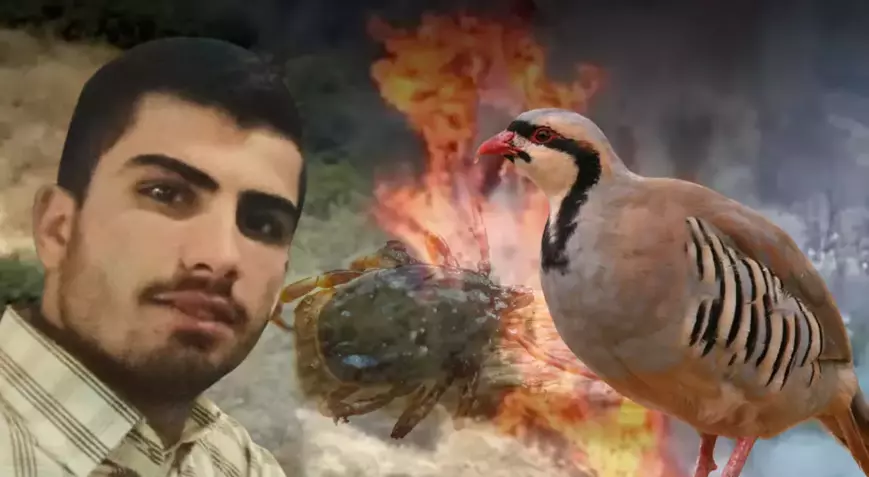 Yastıkta Kene Gördü, 120 Dönüm Araziyi Yaktı