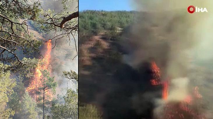 Hatay Belen’de Orman Yangını Karadan Müdahale ile Söndürüldü