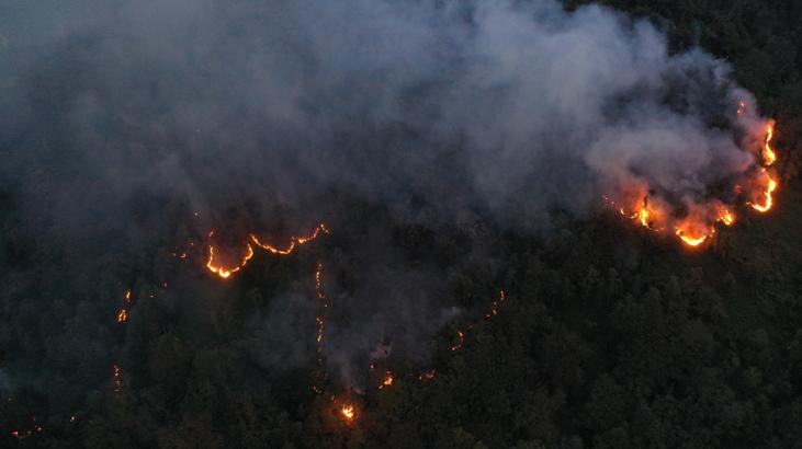 Artvin Başoba Köyünde Örtü Yangını: 5 Hektar Alan Etkilendi