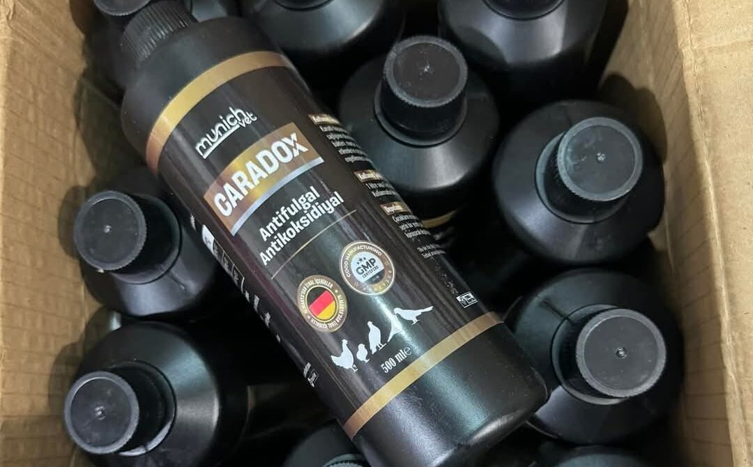 Malatya Yem: Türkiye’nin Hem Kaliteli Hem Uygun Fiyatlı Lideri