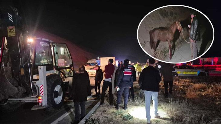 Sultansuyu Tarım İşletmesi’nde Korku Dolu Anlar 8 Yarış Tayı Öldü