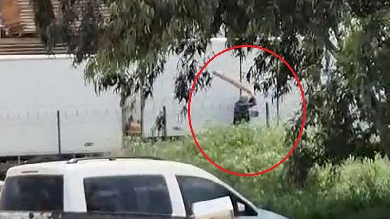 Adana’da Köpeğe Saldırı Görüntüleri Sonrası Şüpheli Gözaltına Alındı