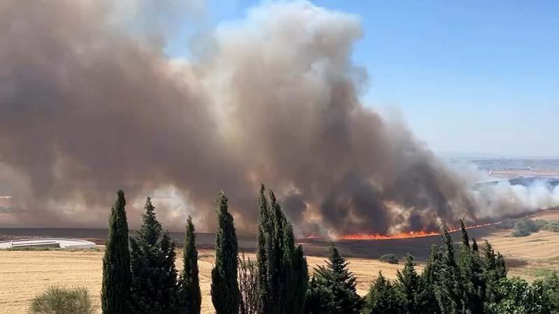 Buğday Tarlasında Korkutan Yangın! Alevlere Havadan ve Karadan Müdahale