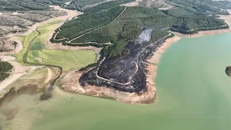 Tekirdağ’da orman yangını 3 saatte kontrol altına alındı