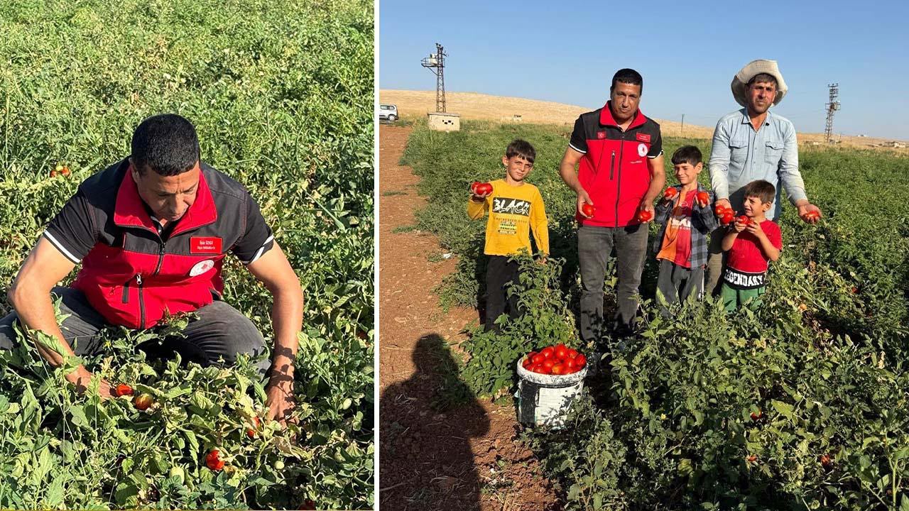 Eyyübiye’de Çiftçilerden Ziraat Odası Talebi: “Bu İlçenin En Doğal Hakkıdır”