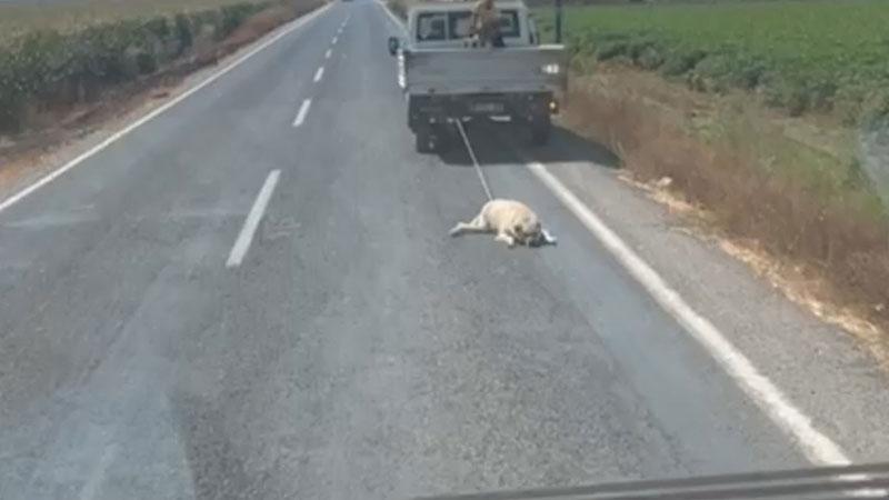 Köpeği kamyonetin arkasına bağlayıp sürükleyerek götürdü